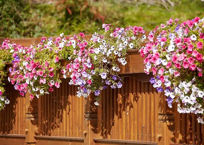 Appartement Gaestehaus Bergkristall *