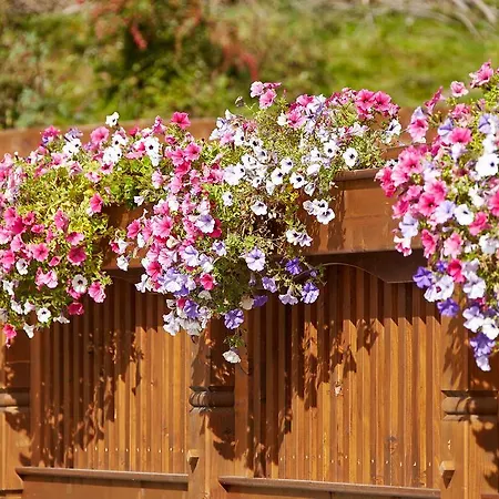 Apartment Gastehaus Bergkristall *